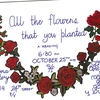 All the flowers