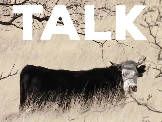 Cow Talk Book Cover